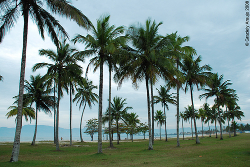 Praia do Centro - Caraguatatuba