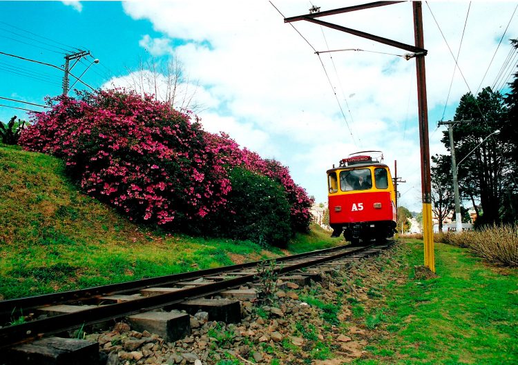 O que fazer em Campos do Jordão - Campos do Jordão