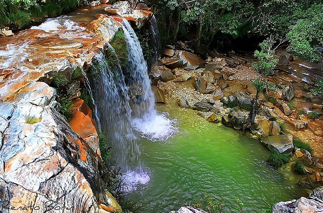 uma pequena cachoeira no meio de uma floresta