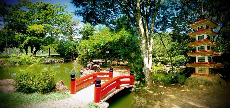 uma ponte vermelha sobre um pequeno lago em um parque