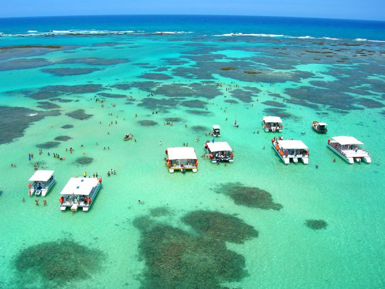 um grupo de barcos flutuando em cima de um corpo de água