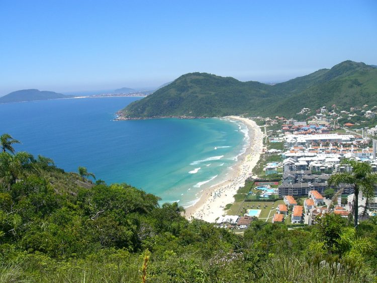 uma vista de uma praia de uma colina