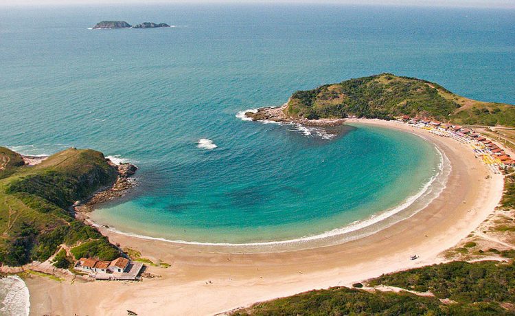 uma vista aérea de uma praia arenosa e oceano