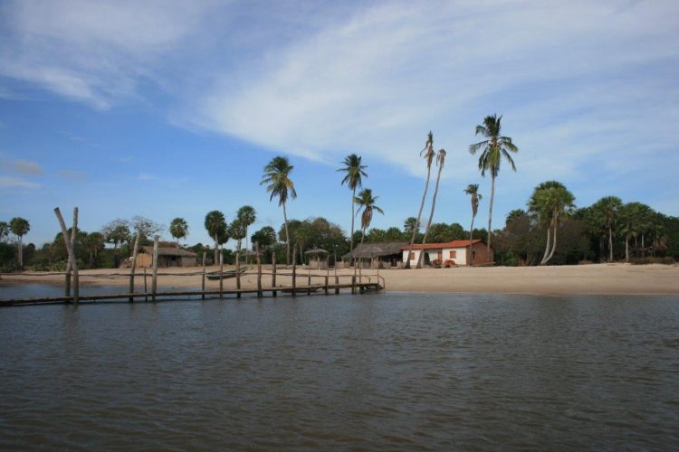 uma casa na praia com palmeiras