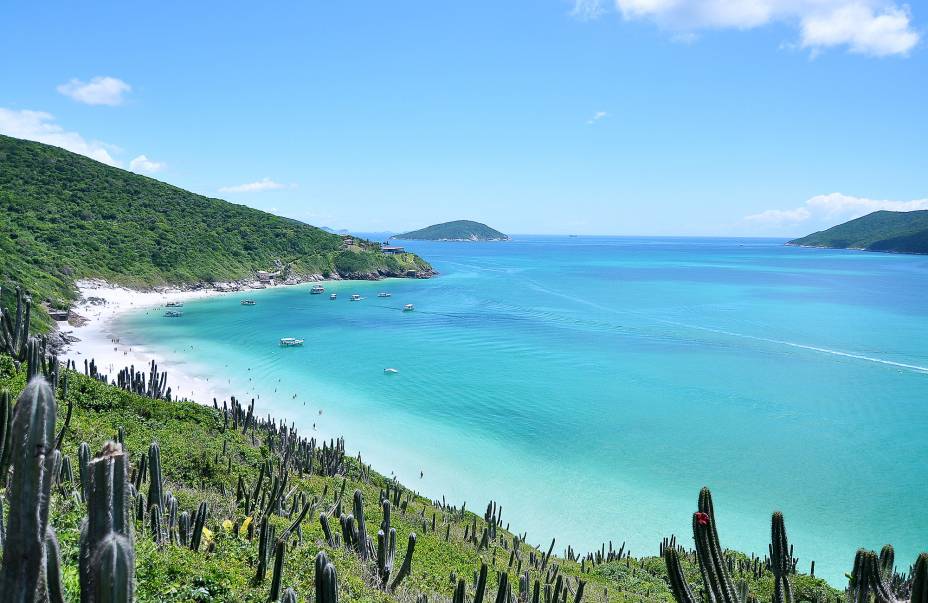 uma vista de uma praia e um corpo de água