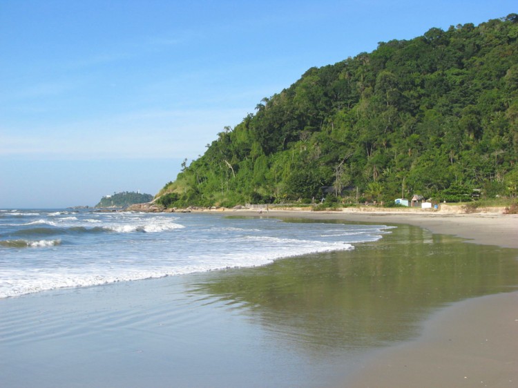 uma praia arenosa ao lado de uma encosta coberta de floresta