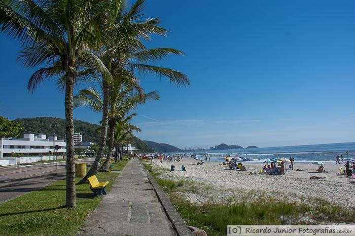 uma praia com pessoas e palmeiras em um dia ensolarado