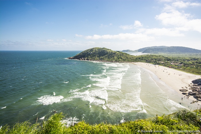 uma vista aérea de uma praia com pessoas na água