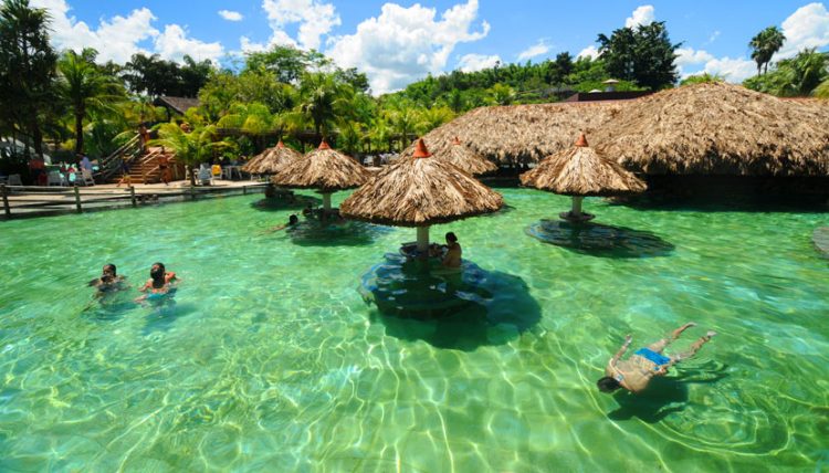 um grupo de pessoas nadando em uma piscina com guarda-chuvas de palha