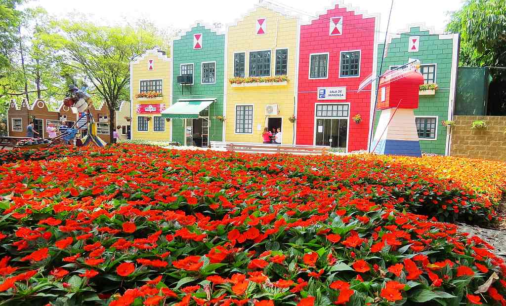 Flores ExpoFlora em Holambra