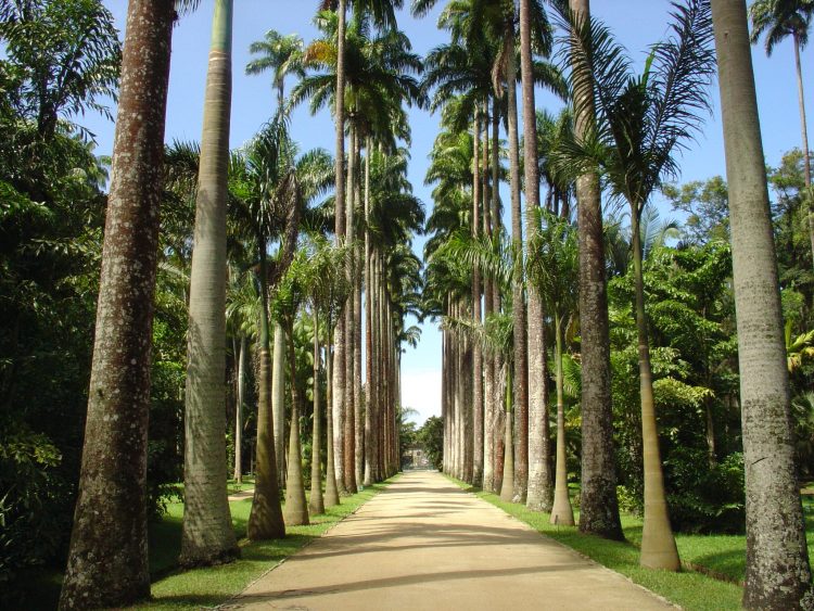 Passeios no Rio de Janeiro