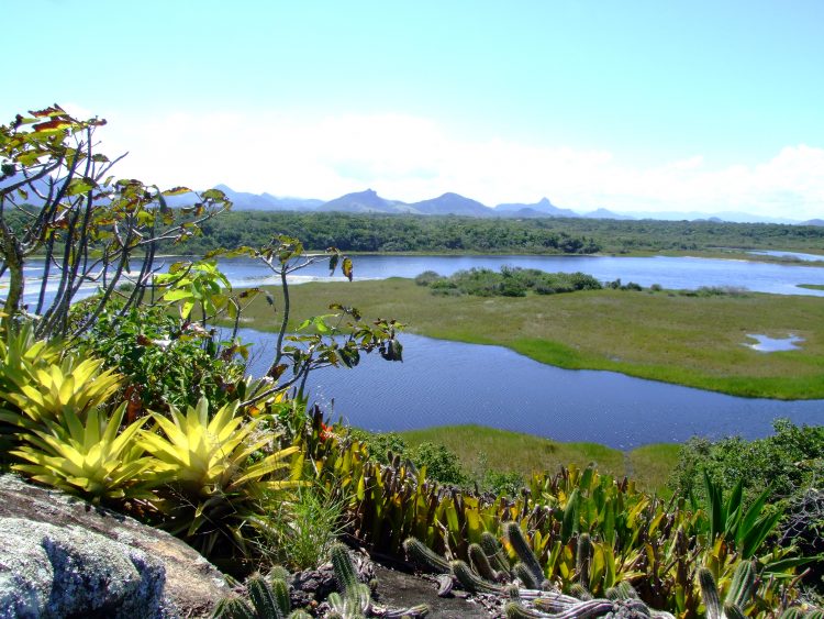 lagoa_de_carais_2_-_lauro_narcisio_parque_cesar_vinha