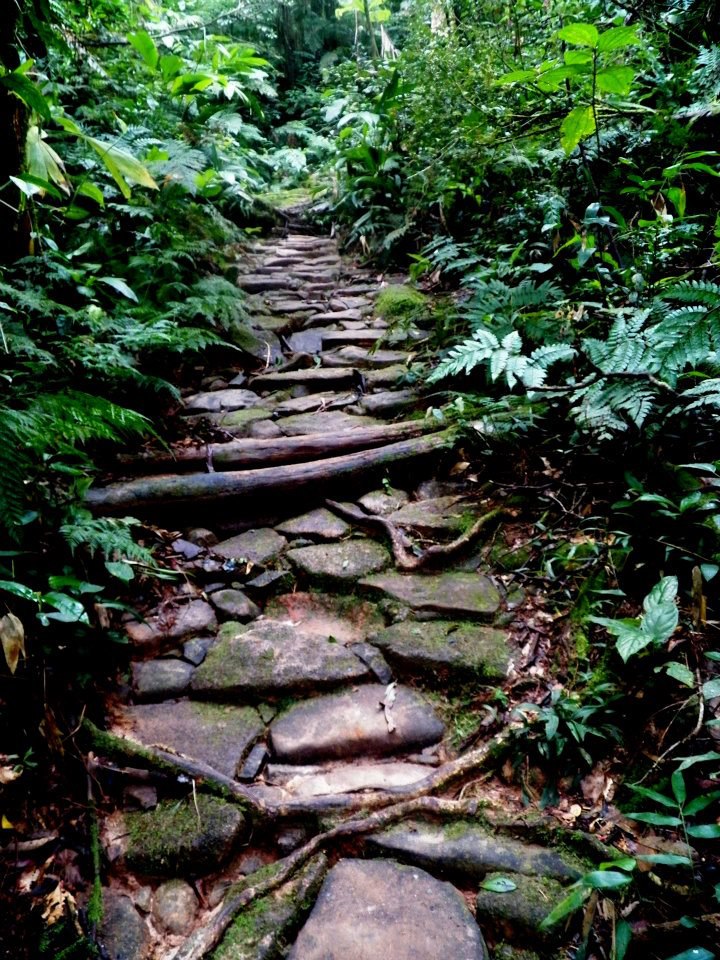 O que fazer em Garuva - Escadaria Monte Crista ©MáximaFM