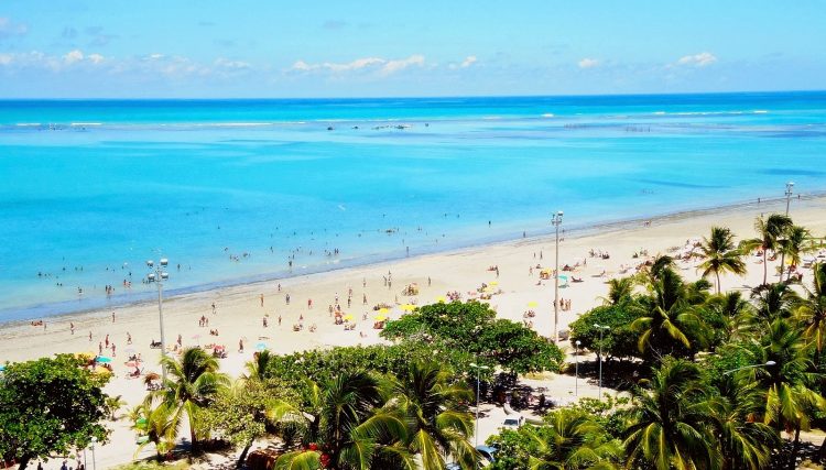 uma praia com palmeiras e pessoas na água