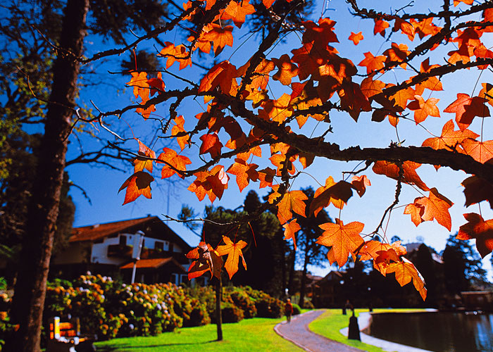 Viagem para Gramado