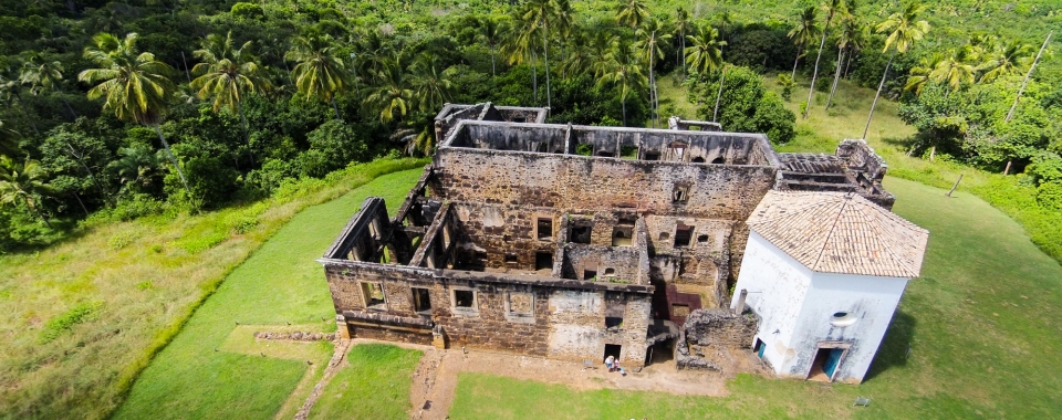 uma vista aérea de um antigo edifício cercado de árvores