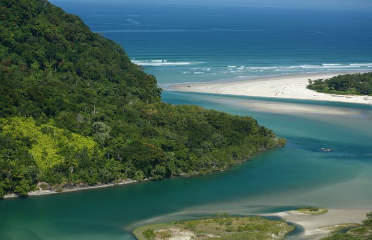 uma vista aérea de um corpo de água cercado por árvores