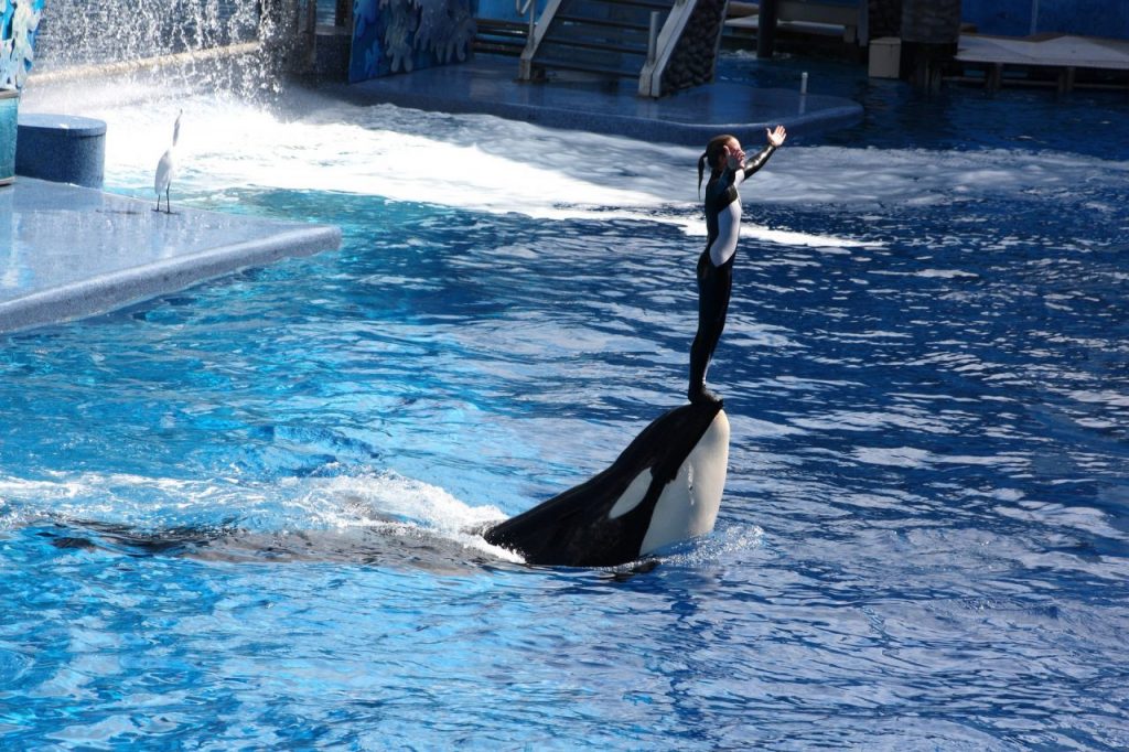 Sea World em Orlando - Estados Unidos