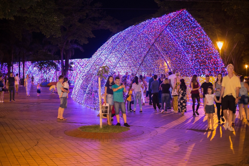 Maringá Encatada - Túnel de Luz ©MaringáEncantada