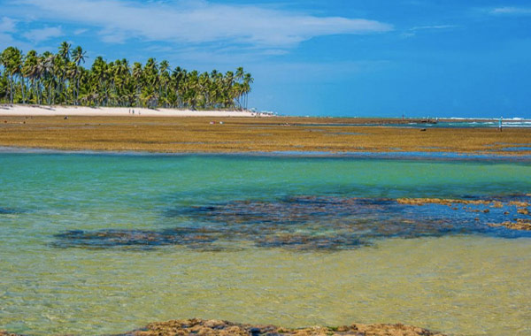 Aluguel de temporada em Mata de São João - Bahia Aluguel de temporada em Mata de São João - Bahia