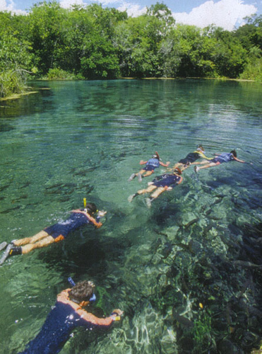 Mergulho em Bonito Mergulho em Bonito