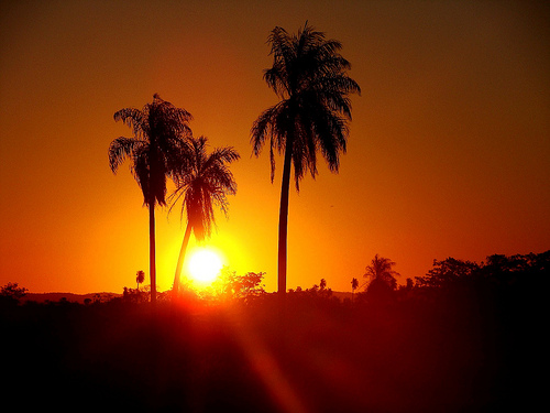 Pôr do sol Bonito