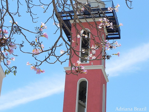 Casa em Jurere