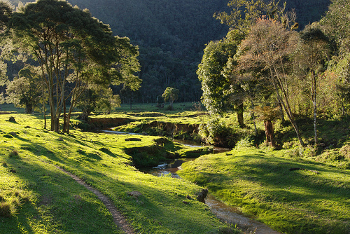 Parque Nacional da Serra do Itajaí