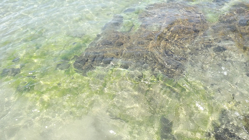 Água clara e limpa do mar da Praia de Pitangueiras