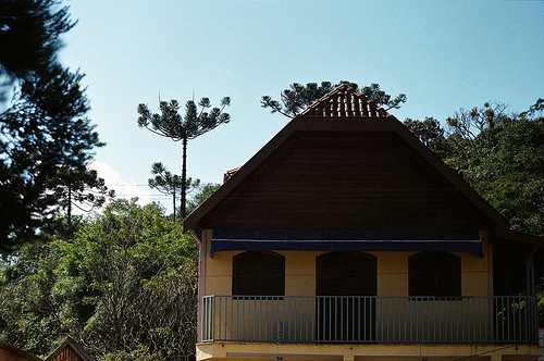 Casa rustica em Santo Antonio do Pinhal