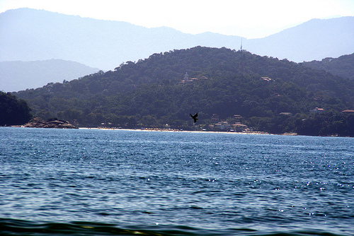 Praia das Toninhas