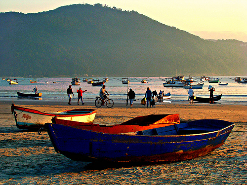 Vida na praia de Perequê Vida na praia de Perequê