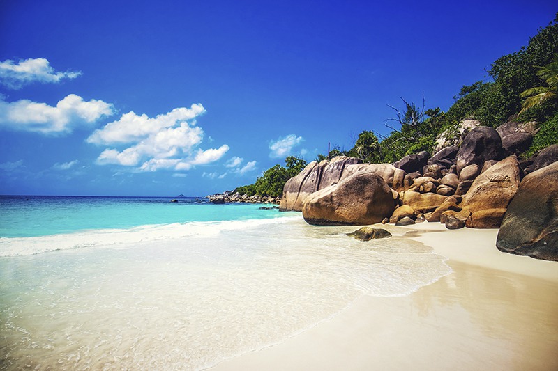 Motivos para você conhecer a Praia do Campeche