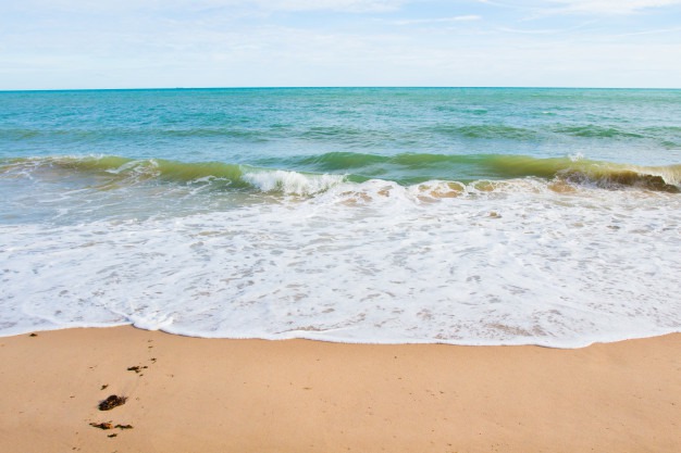 Motivos para você conhecer a Praia do Campeche