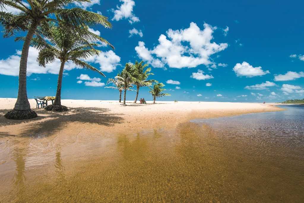Conheça Mata de São João, na Bahia TemporadaLivre