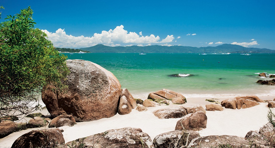 ¿Por Qué Ir A La Playa De La Daniela, en Florianópolis?