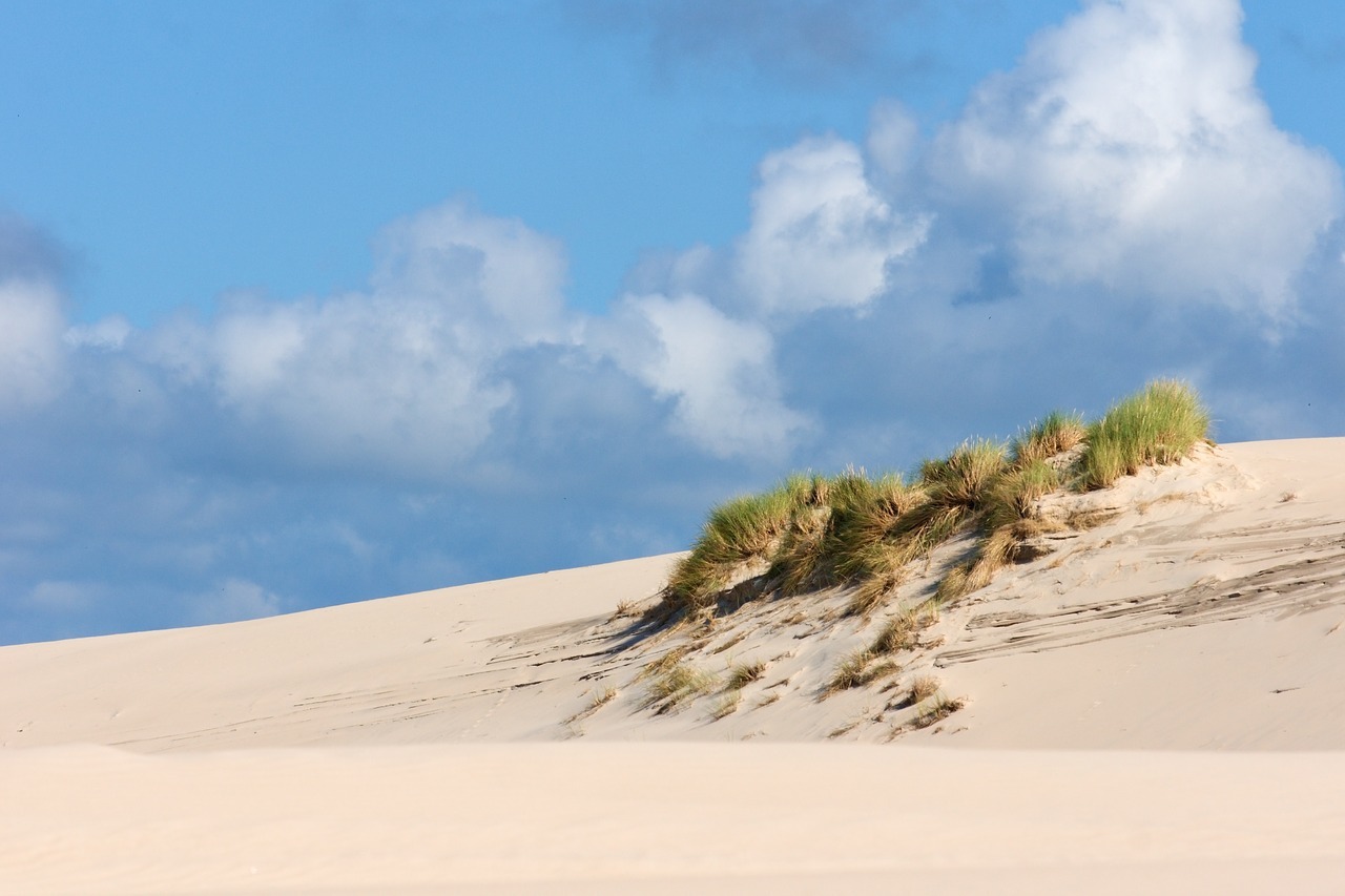 Razões para conhecer Garopaba - Dunas do Siriú