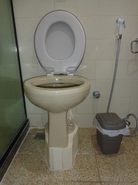 sanitário adaptado para cadeirante